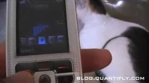Sony Ericsson W800i Animated Menu