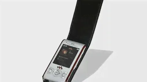 Carrymobile Leather Case for Sony Ericsson W595/W595c/W595a - Flip Type (Black)