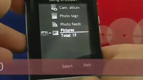 Sony Ericsson T700 Quadband 3G HSDPA Unlocked Phone